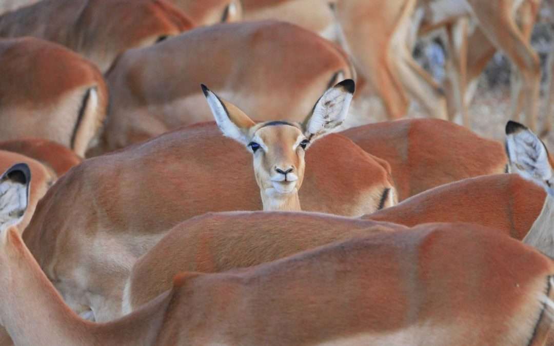 How to Talk About Sustainability Without Sounding Like Everyone Else